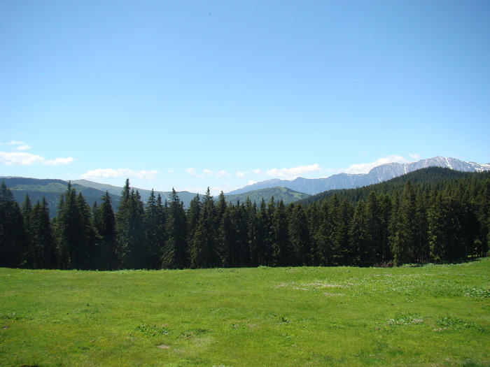 DSC05716