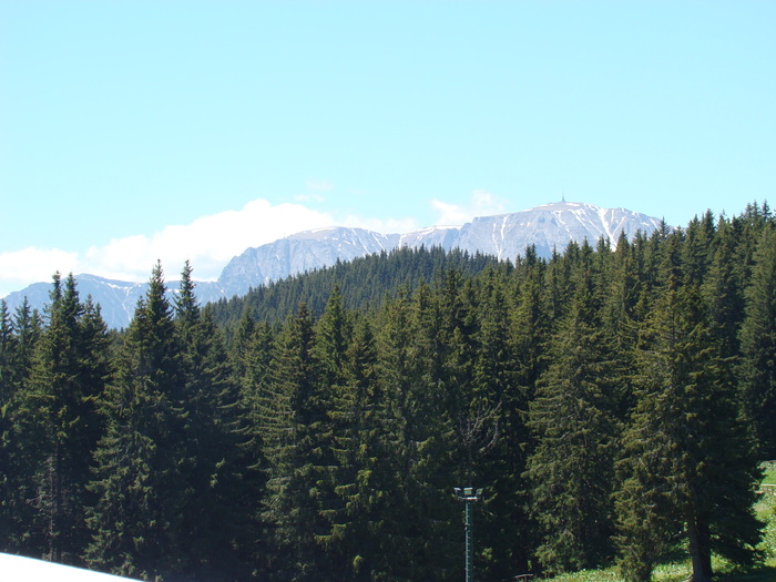 DSC05719