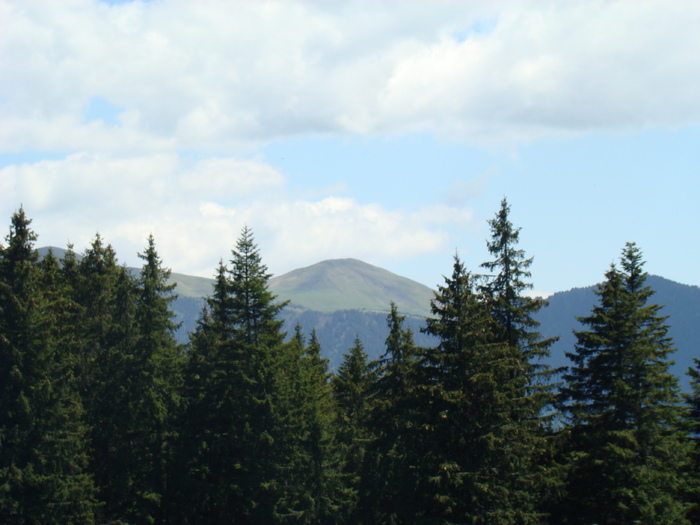 DSC05733