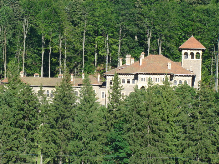 DSC05755