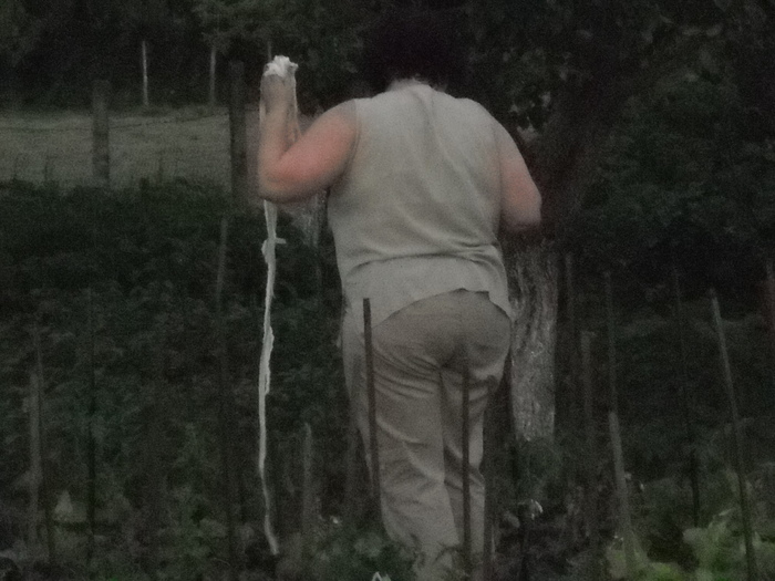 stau cu spatele la reactiune