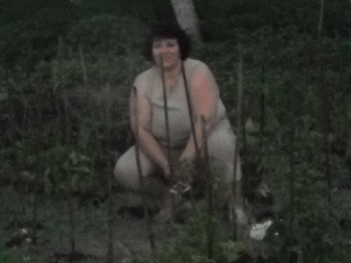 la final de gradinarit