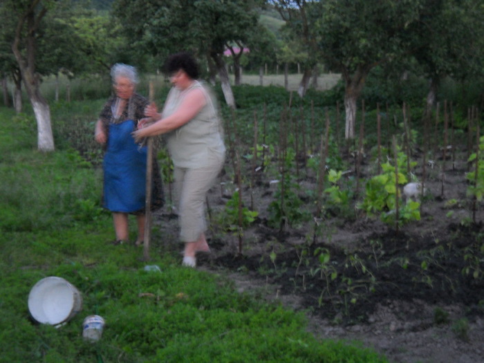 sa-ti arat eu mama cum se tine