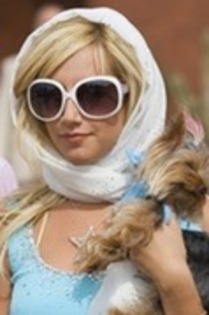 15527228_LEBMLITEO - SHARPAY EVANS