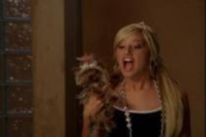 15527188_IQEFNMLHY - SHARPAY EVANS