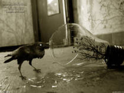 MSQGCLVYPGSBDAKONEH - XxX Pouze EmOx XxX