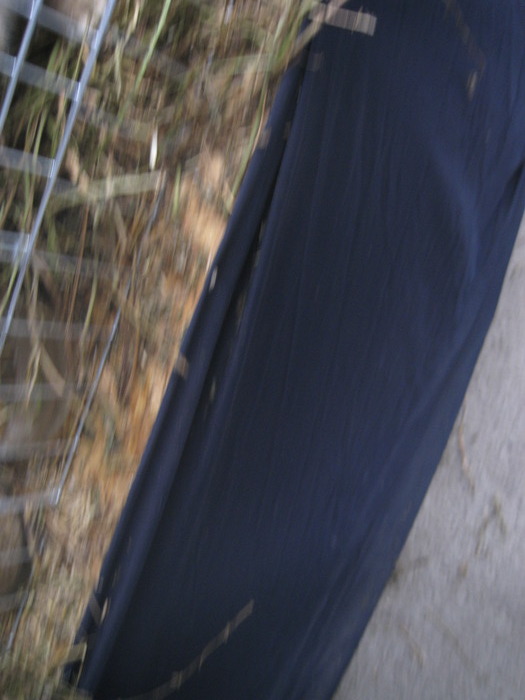 IMG_5499 - Tim Agralim 2010