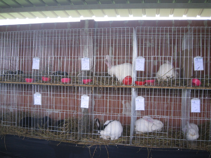 IMG_5500 - Tim Agralim 2010