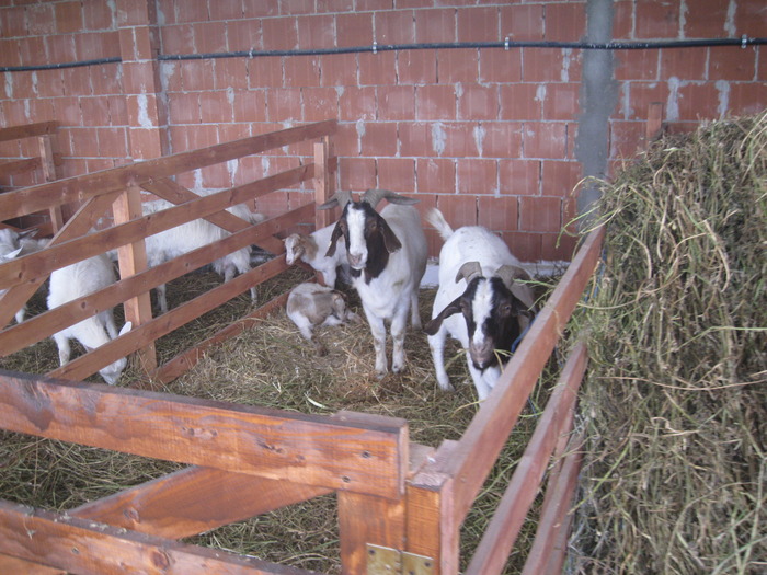 IMG_5509 - Tim Agralim 2010