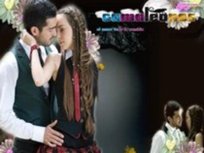 sebastian si valentina (30) - toate pozele mele cu cameleonii
