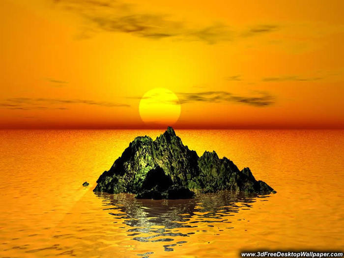 zztropical-desktop-wallpaper-800-1