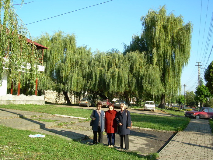 B 17 - Baltatesti 2008