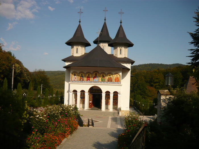 P1010298 - Baltatesti 2009