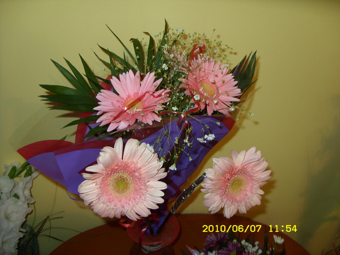 SDC13449 - FLORI 2010