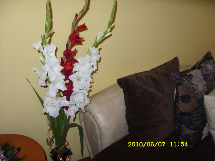 SDC13451 - FLORI 2010