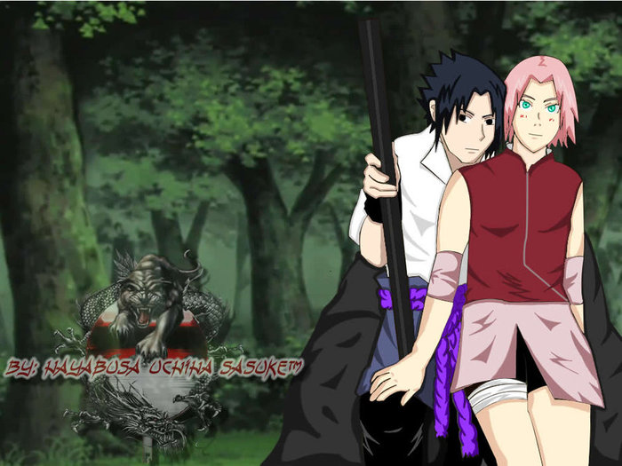 Sasuke_and_Sakura_by_HayabusaUchiha - 11 Poze fff faine