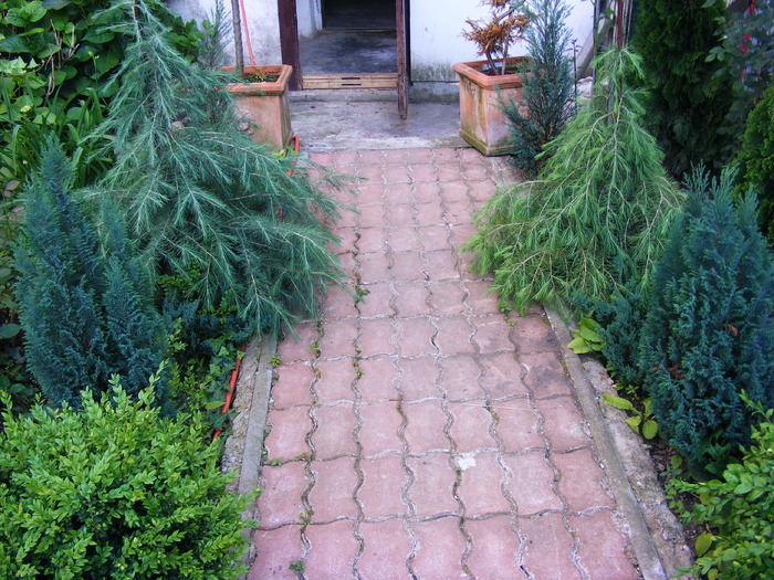 10_iunie_2010 079 - curtea de la oras