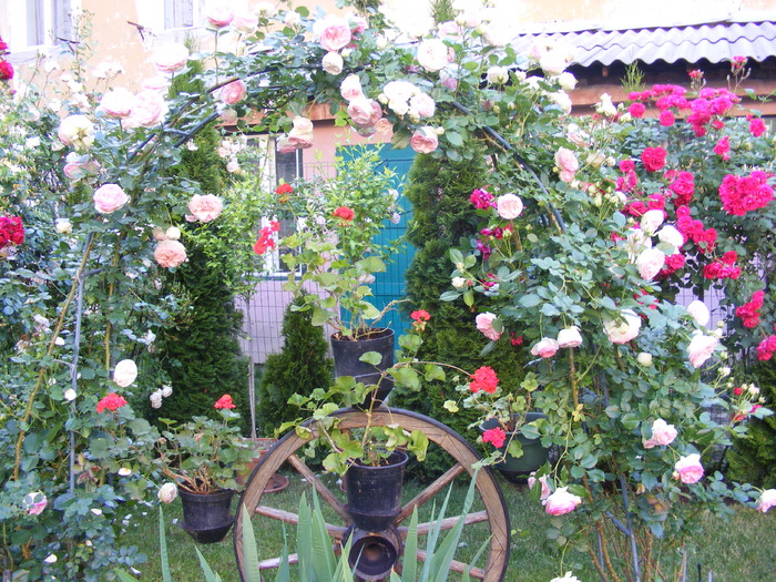 EDEN_10_iunie_2010 060