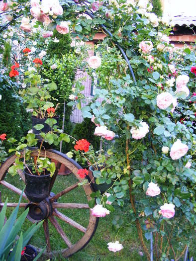 EDEN_10_iunie_2010 062