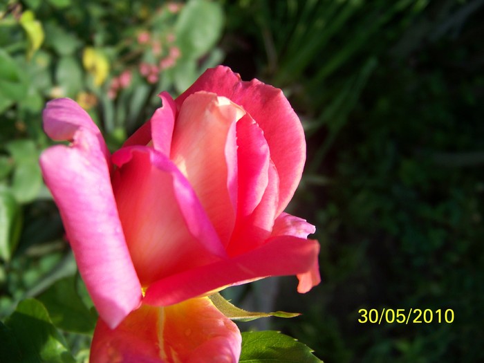 100_0521