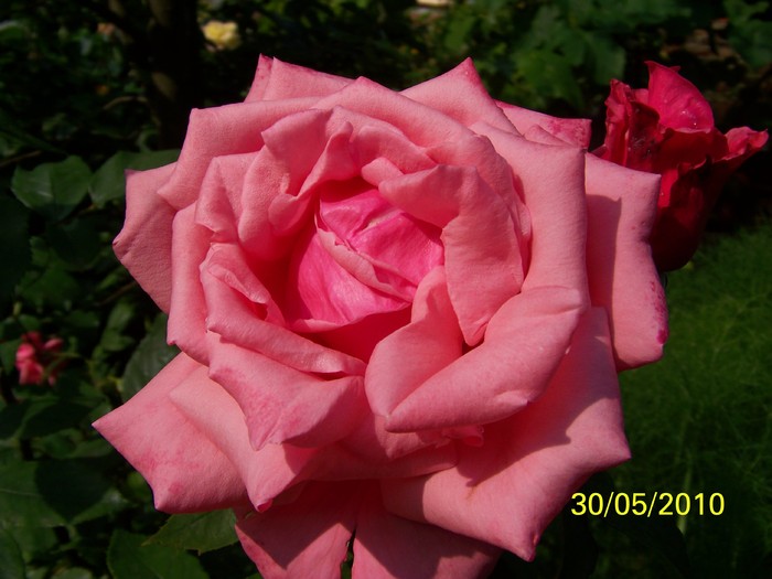 100_0529 - 27-31 Mai 2010