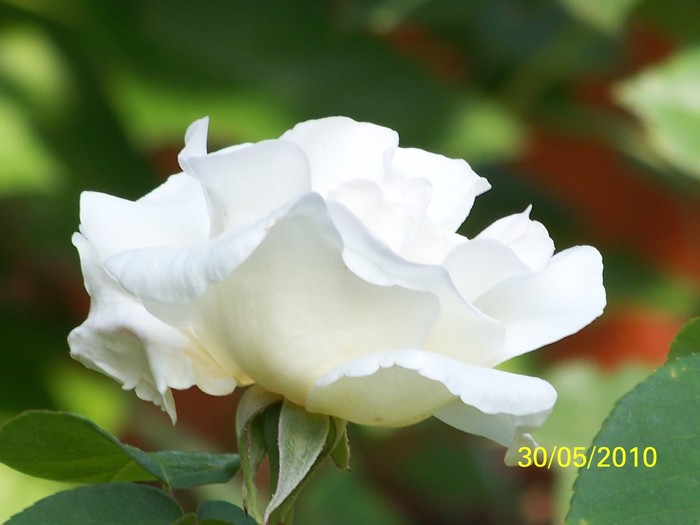 100_0540 - 27-31 Mai 2010