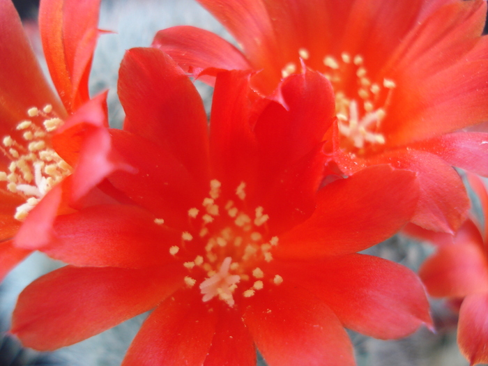 DSC08905