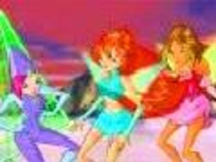 Winx - Poze tari de tot