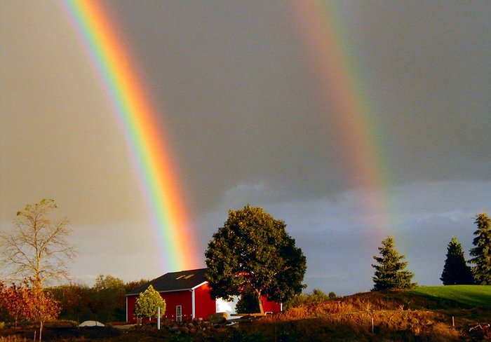 rainbow - Rainbow