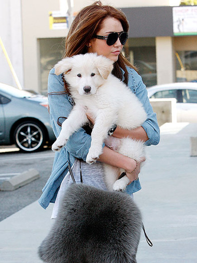 gfrf - miley