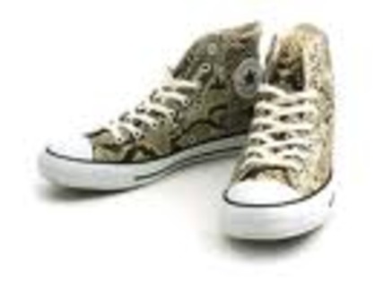 yyyyyyyyyyy - Converse