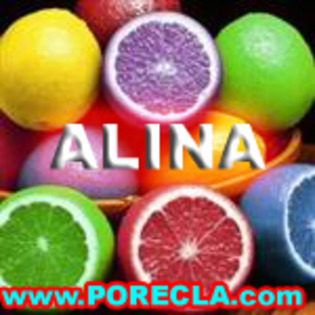507-ALINA%20lamaia%20(Custom)