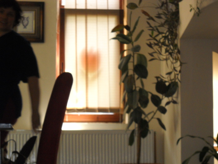 eu si o floare..........