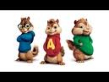 ALVIN - alvin si veveritele