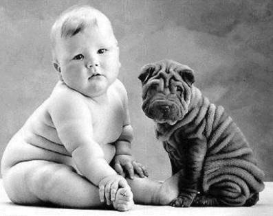 Caine + catel=gemeni - Animale haioase partea 1
