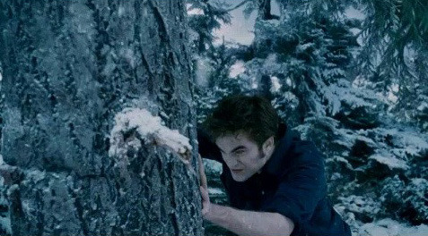 edward-tree