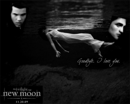 Kristi-Leavitt - Twilight New Moon