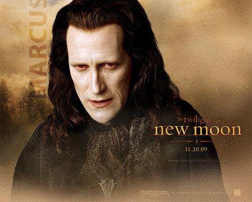 new-moon-wallpaper-marcus - Twilight New Moon