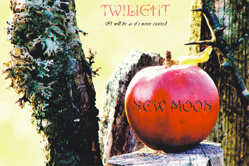 Sonia-Gabor - Twilight New Moon