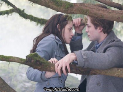 bella-edward-branch - Twilight Amurg