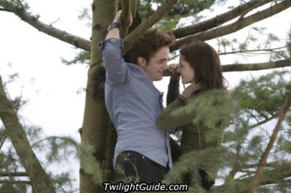 edward-bella-trees