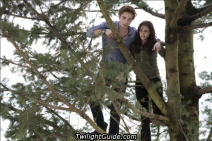 edward-bella-treetop - Twilight Amurg