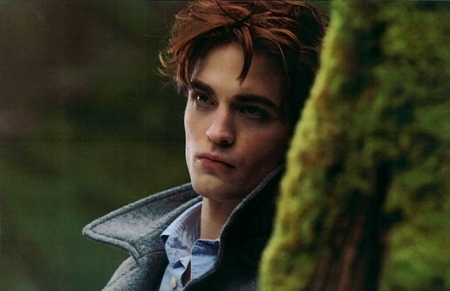 edward-tree - Twilight Amurg