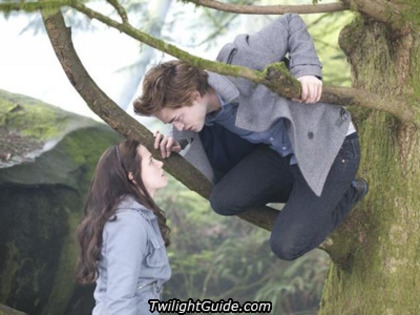 edward-tree-bella - Twilight Amurg