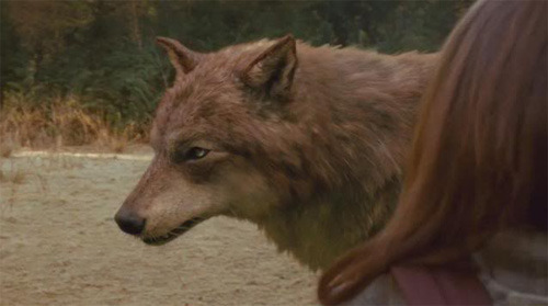 new-moon-movie-pictures-953