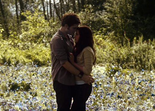 in-field-bella-edward