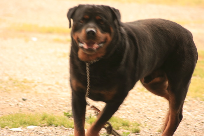 eu sint mic si cuminte  =))