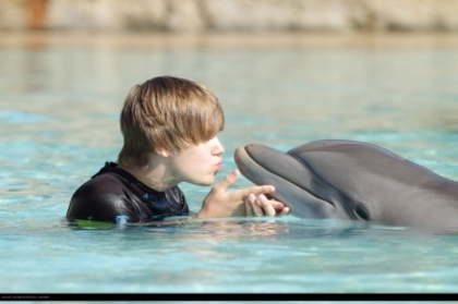 normal_46 - 0_0 Dolphin Cay Atlantis Resort - Bahamas 0_0