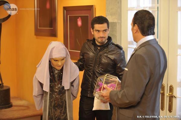 Camaleones_1256997593_1_2009