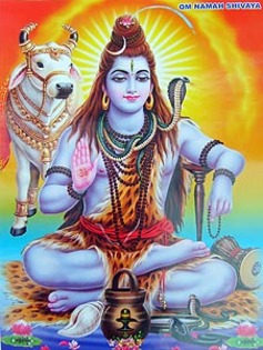 shiva2_tm - Shiva